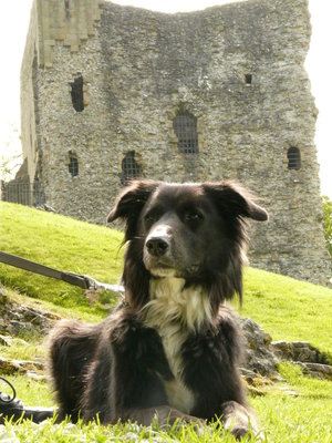 Peveril_Castle_by_huskyhowl.jpg